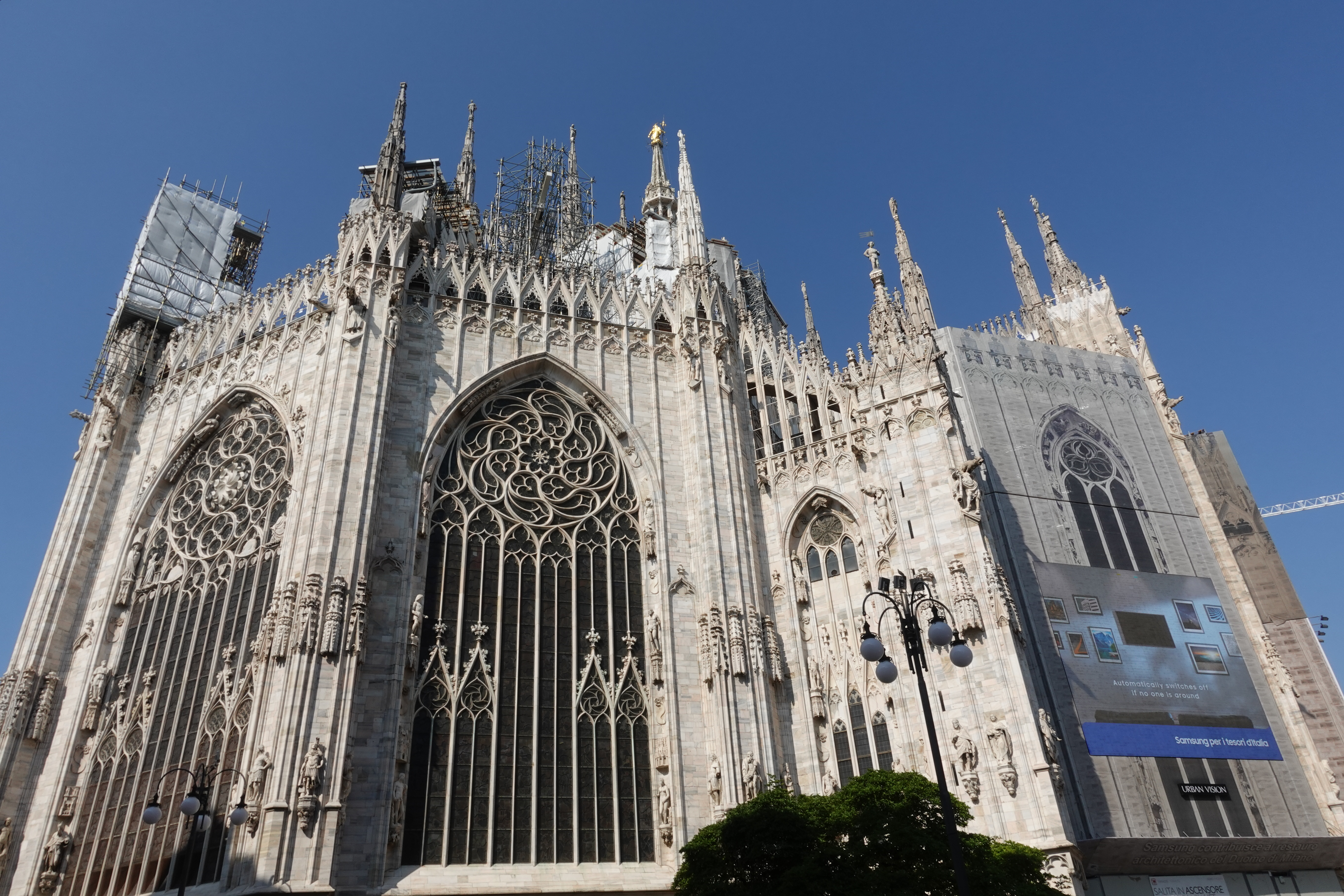 ミラノのバチは早い